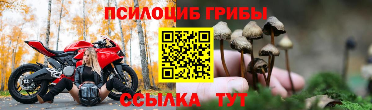 Галлюциногенные грибы ЛСД  Галлюциногенные грибы мухоморы  купить закладку  Заволжье  Вход с VPN 